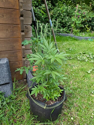 PXL_20250609_170637685