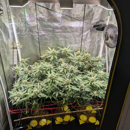 Growreport Bild 6