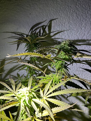 Growreport Bild 12