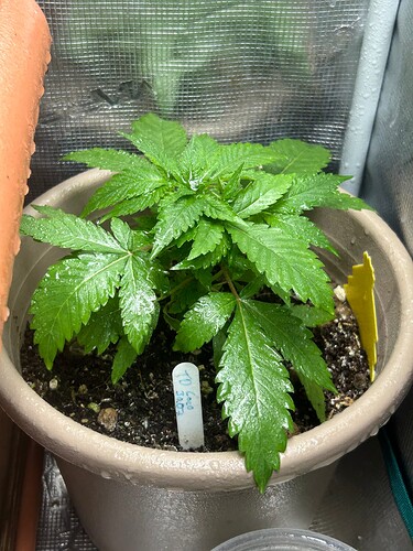 Growreport Bild 42