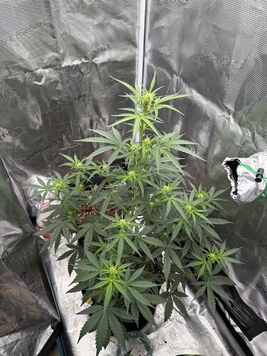 Growreport Bild 13