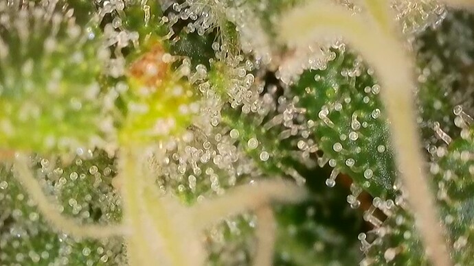 2025-10-22-075221075