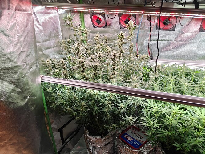 Growreport Bild 7