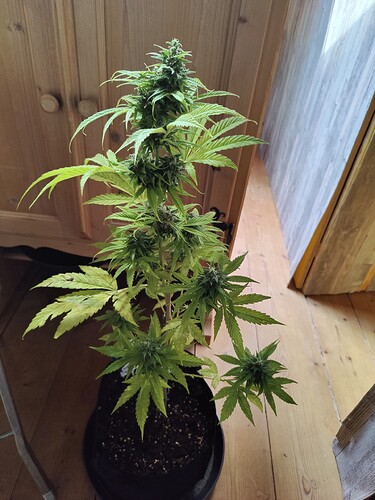 Growreport Bild 12