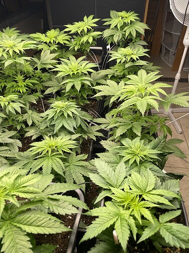 Growreport Bild 7