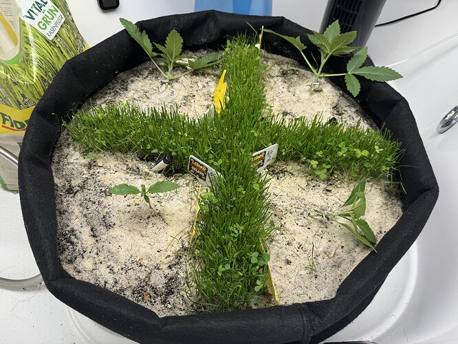 Growreport Bild 18