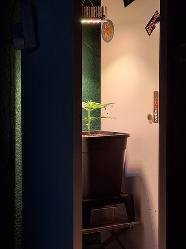Growreport Bild 10