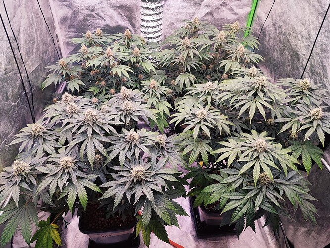 Growreport Bild 16
