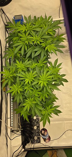 Growreport Bild 21