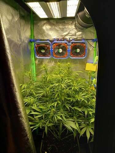Growreport Bild 2