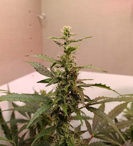 Growreport Bild 10