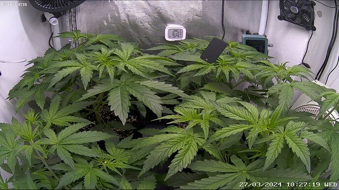 Growreport Bild 13