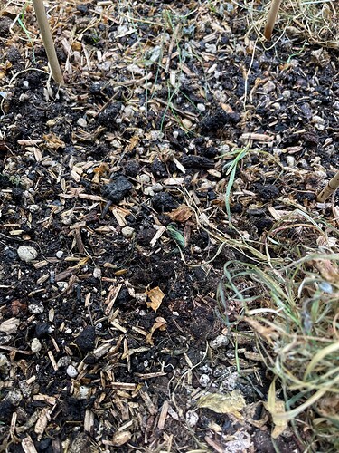 Growreport Bild 6