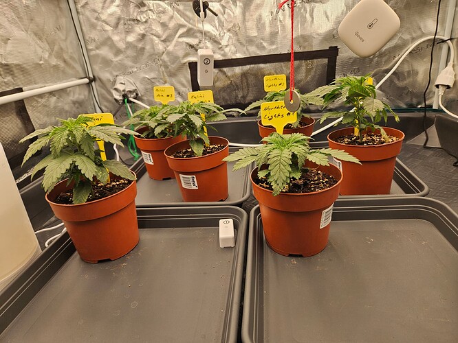 Growreport Bild 58