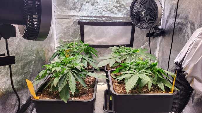 Growreport Bild 5