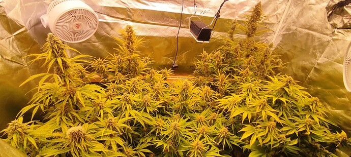 Growreport Bild 15