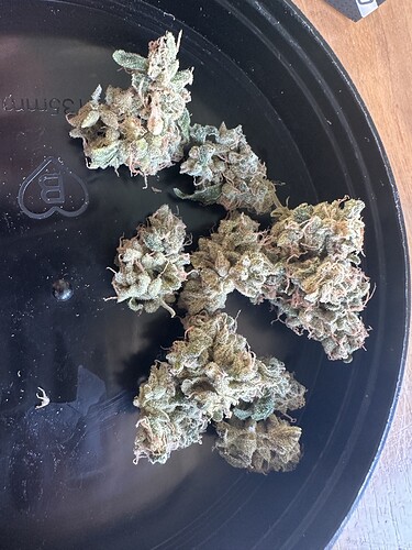 Growreport Bild 11
