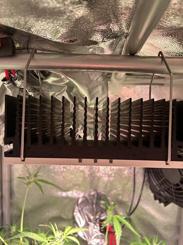 Growreport Bild 9