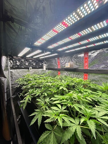 Growreport Bild 1