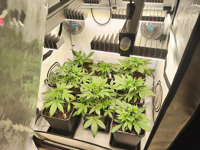 Growreport Bild 8