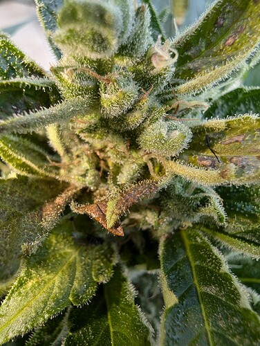 PXL_20240803_110728140