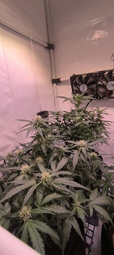 Growreport Bild 11