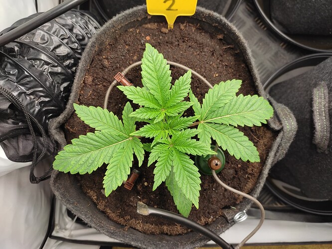 Growreport Bild 23