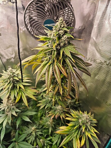 Growreport Bild 17