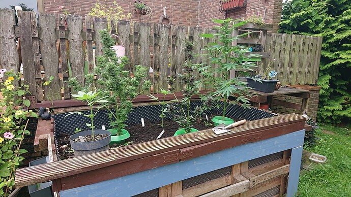 Growreport Bild 6