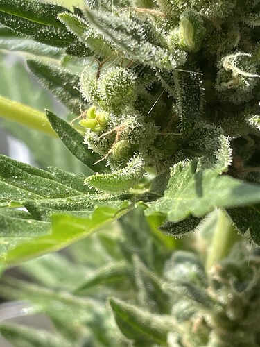 Growreport Bild 1