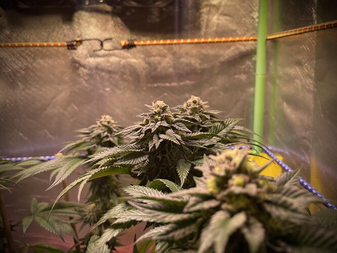 Growreport Bild 8