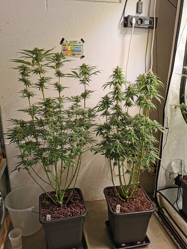 Growreport Bild 5