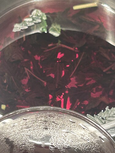 Growreport Bild 41