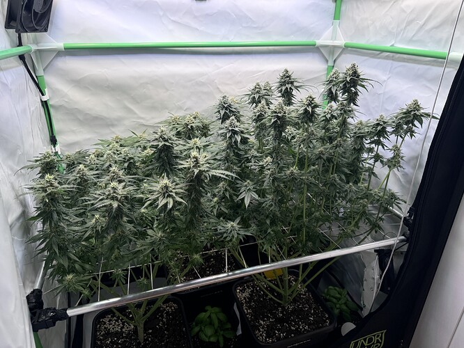 Growreport Bild 3
