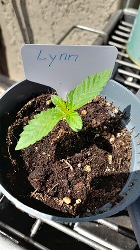 Growreport Bild 36