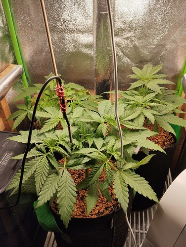 Growreport Bild 14