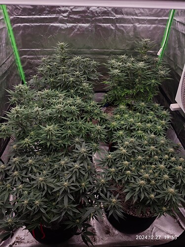 Growreport Bild 9