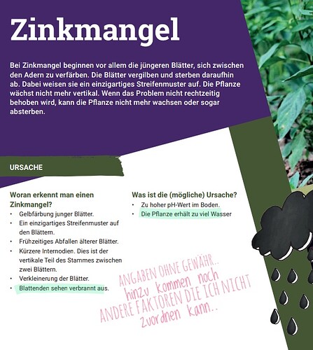 Screenshot_20240225-230532_(1)~2-01