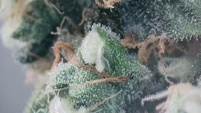 2024-10-03-205046618