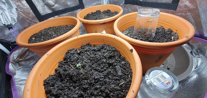 Growreport Bild 1