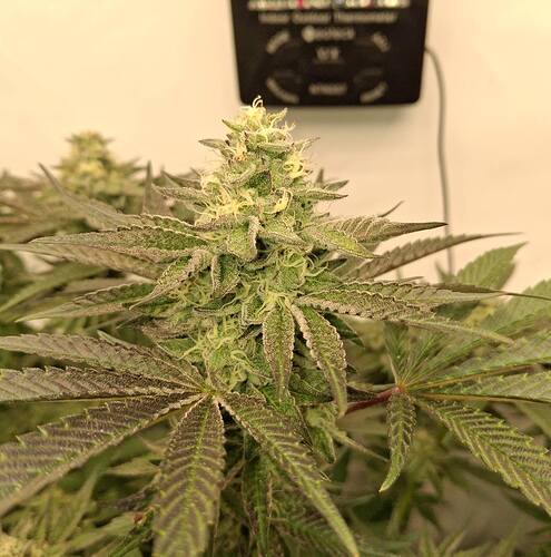 478927787_122167527080293599_8029807481979701114_n