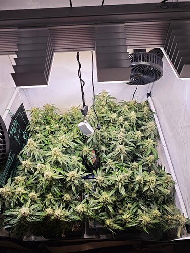 MVIMG_20251114_155640