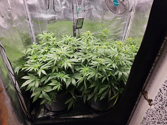 Growreport Bild 11