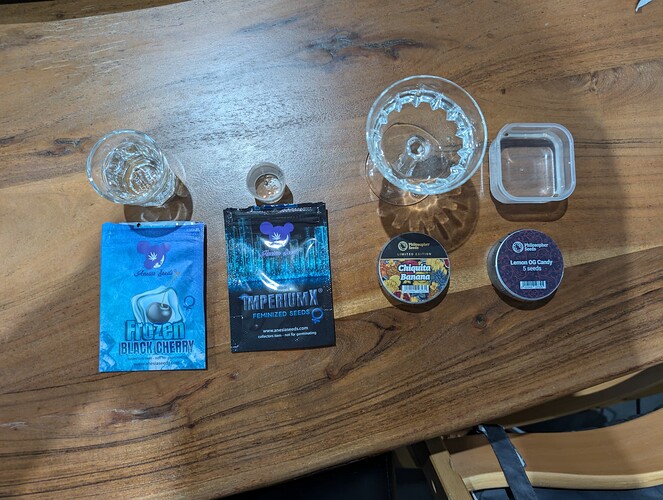 PXL_20240625_195049324