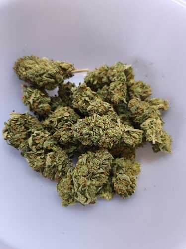 Growreport Bild 9