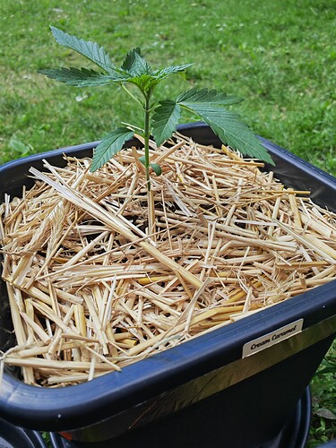 Growreport Bild 11