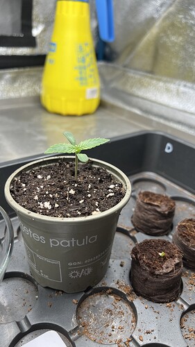 Growreport Bild 11