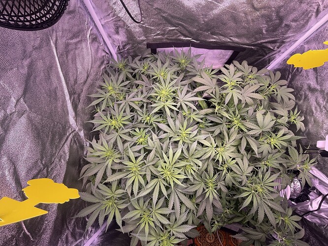 Growreport Bild 13