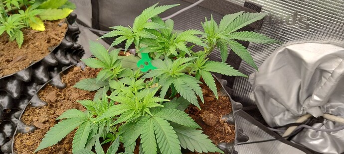 IMG_20251002_091853230_HDR