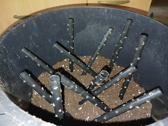 Growreport Bild 3